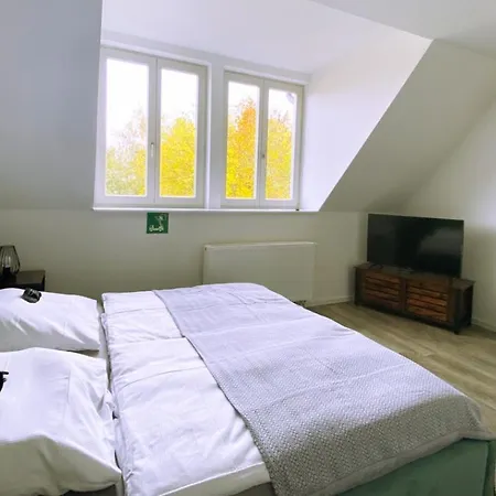 Prima Sonnenufer Am Ruppiner Neuruppin